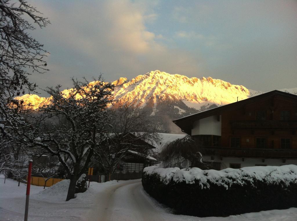 Appartementhaus Zum Schneider Scheffau am Wilden Kaiser Exterior photo